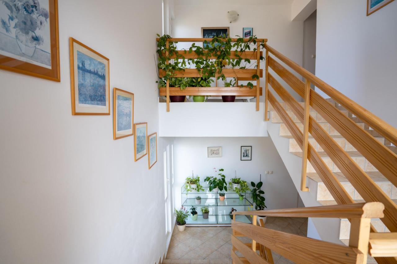 Apartments Valentin Privlaka  Kültér fotó